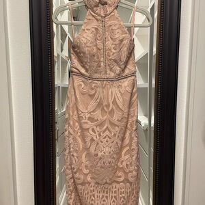 Bardot Blush Backless Lace Dress